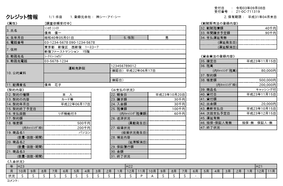信用情報開示報告書の見本